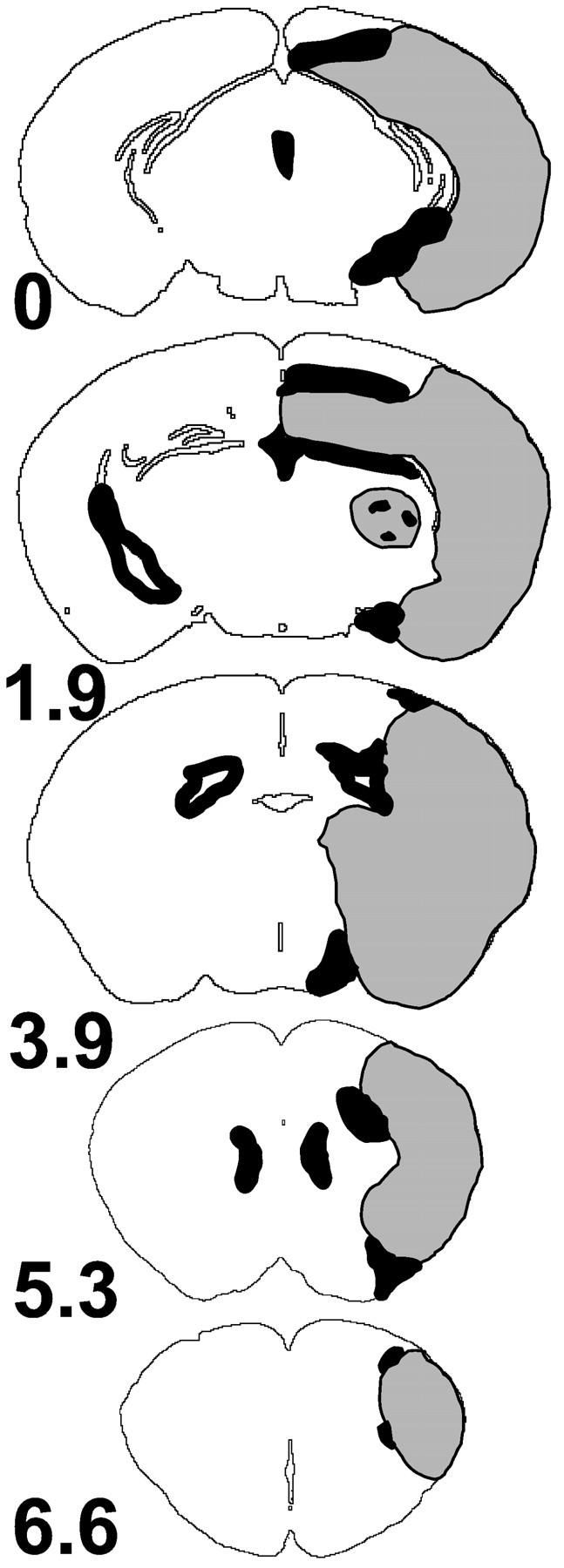 Fig. 6.