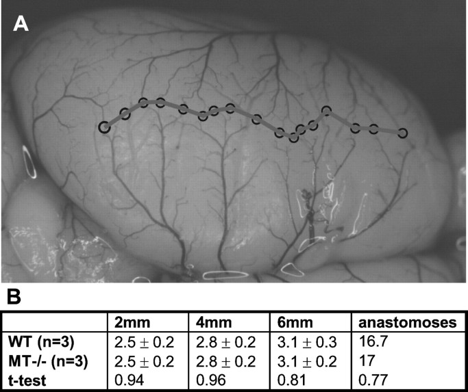 Fig. 10.