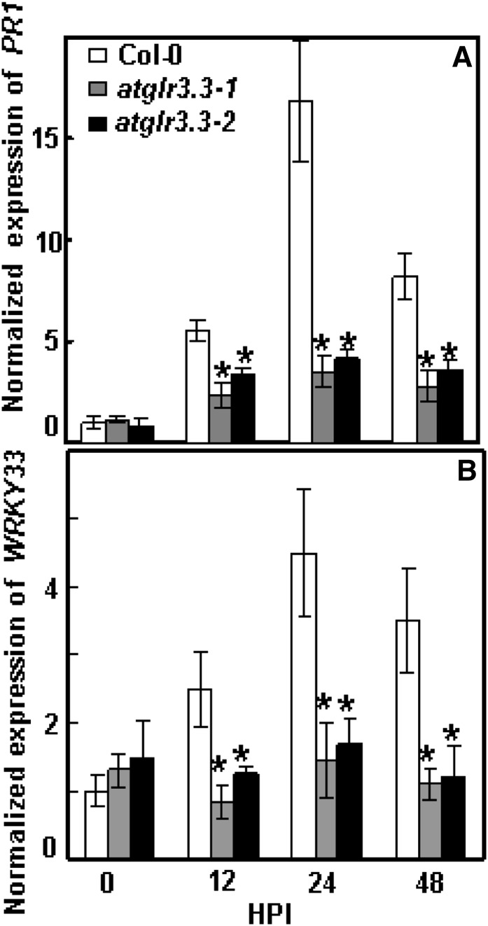 Figure 6.