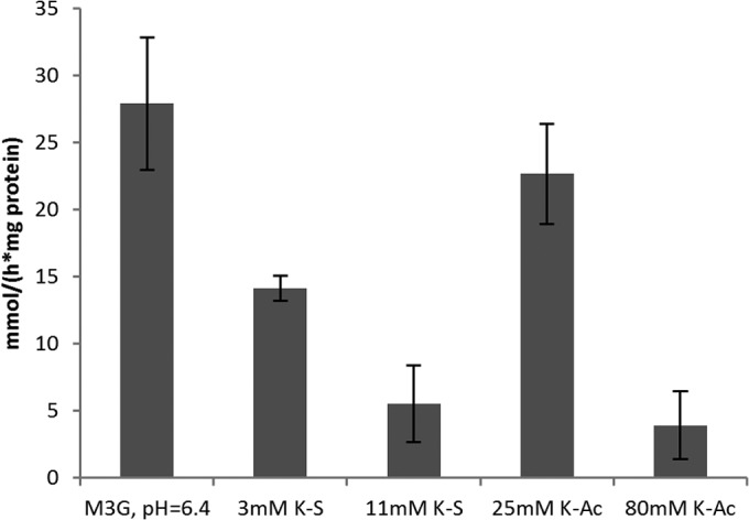 FIG 6