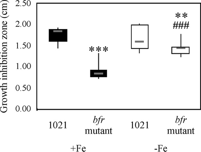 FIG 2