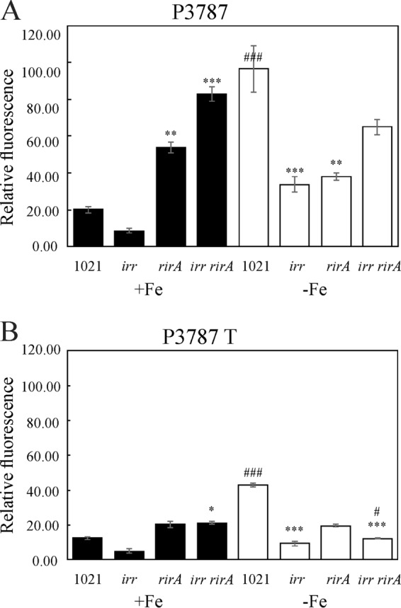 FIG 6