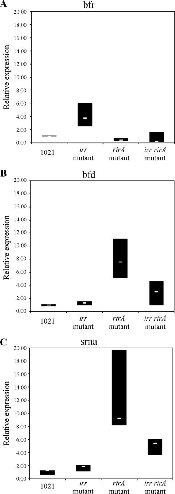 FIG 4