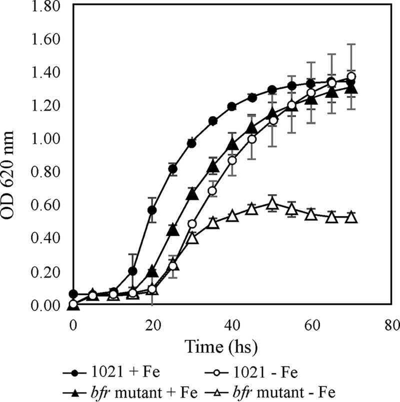 FIG 1