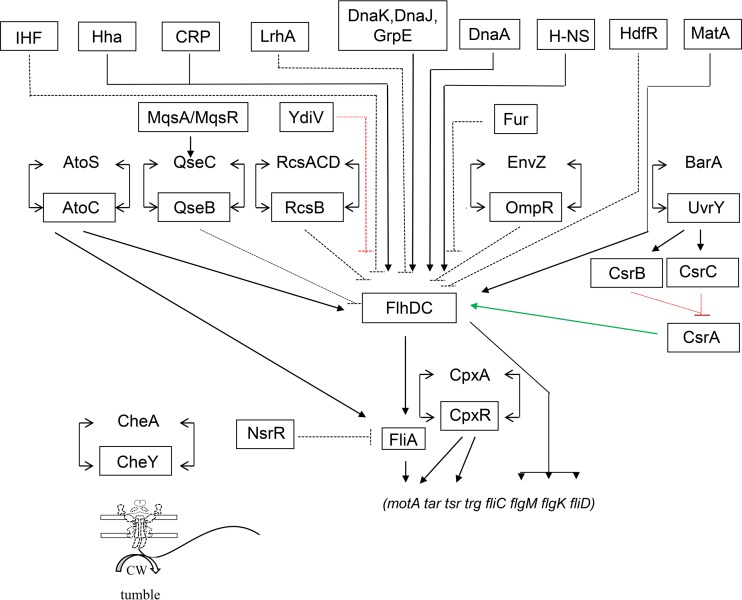 FIG 1