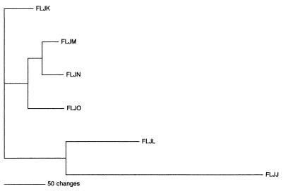 FIG. 1