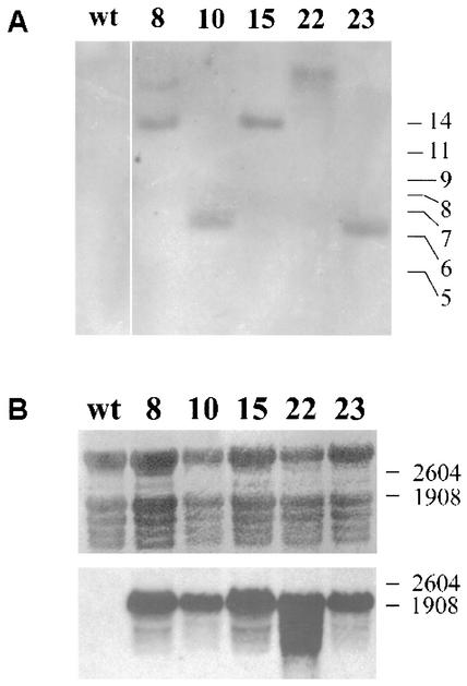 FIG. 4.