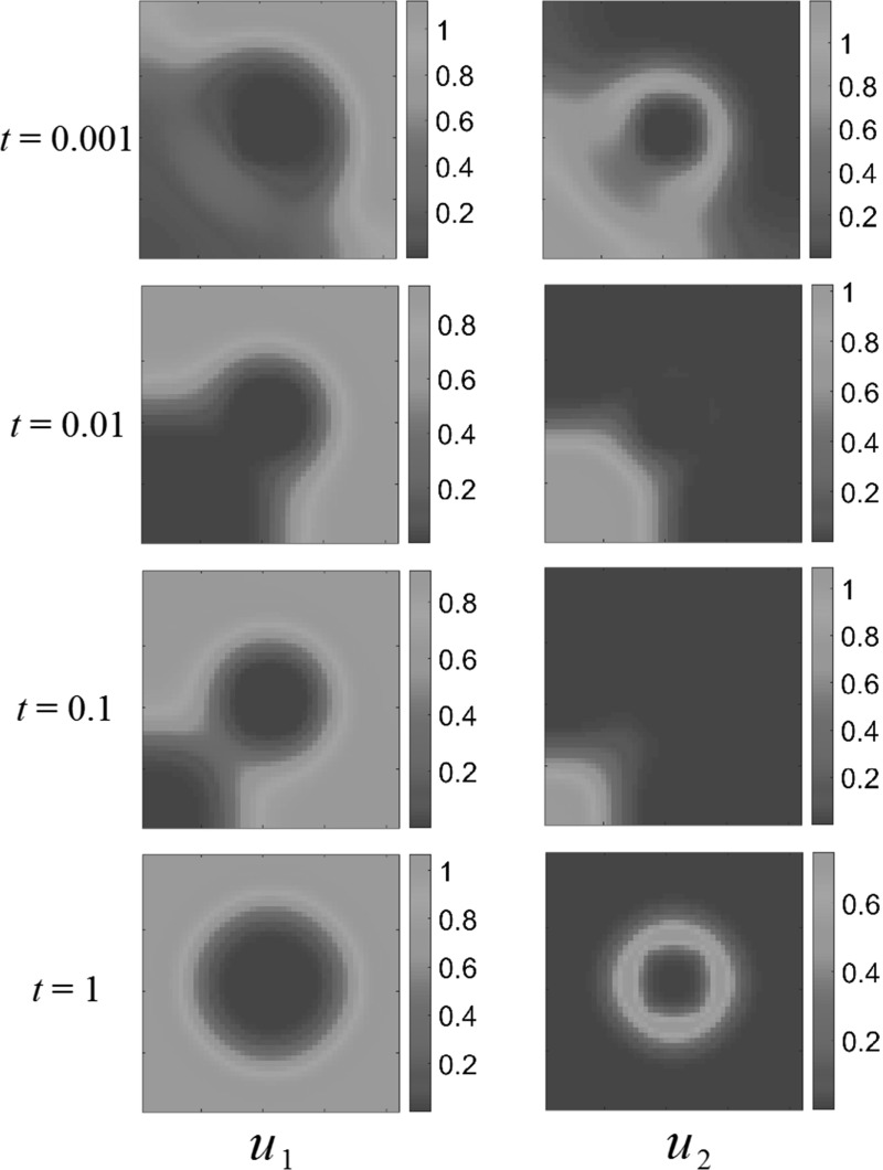 Fig. 10