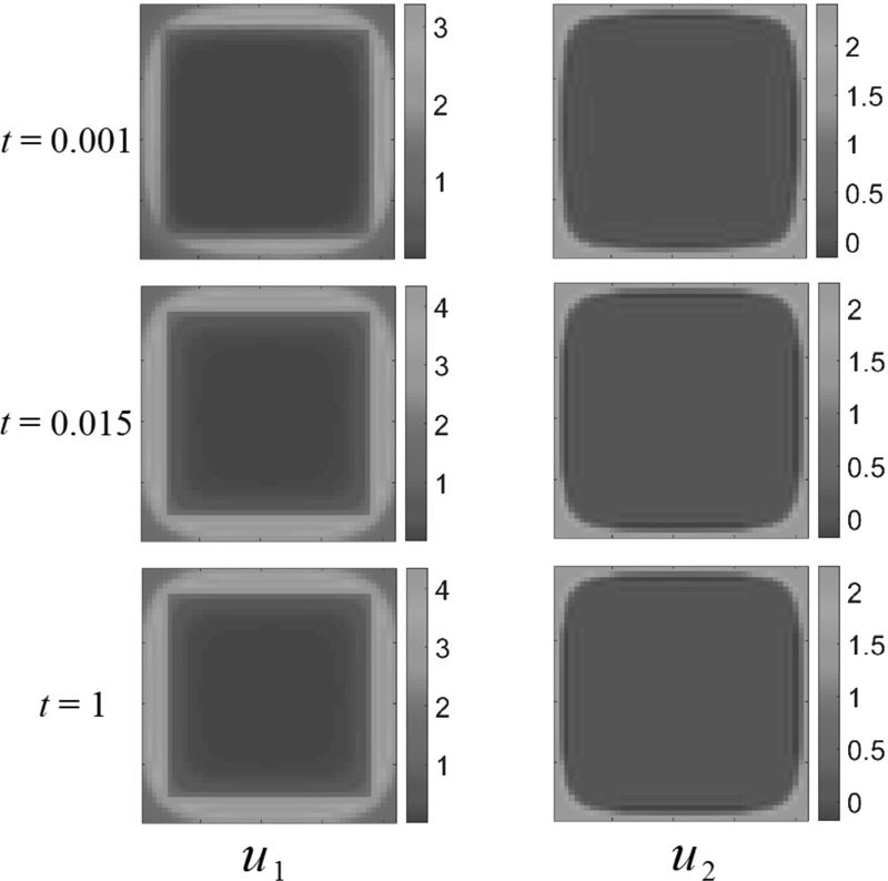 Fig. 12