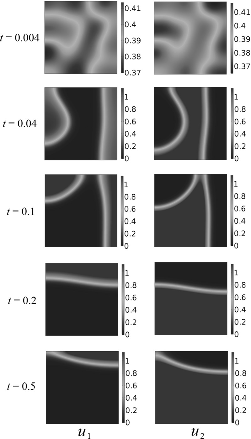 Fig. 2