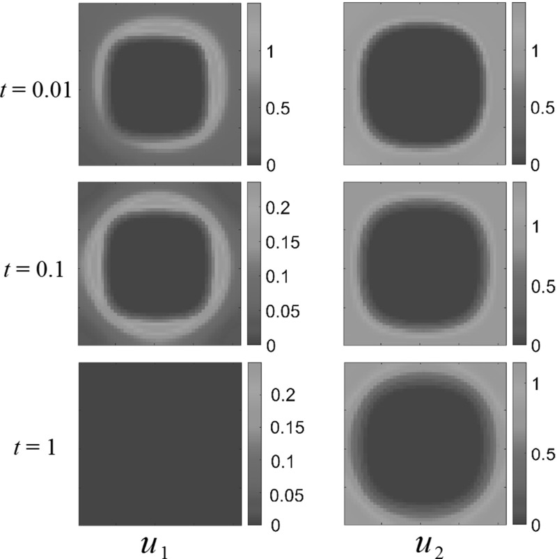 Fig. 11