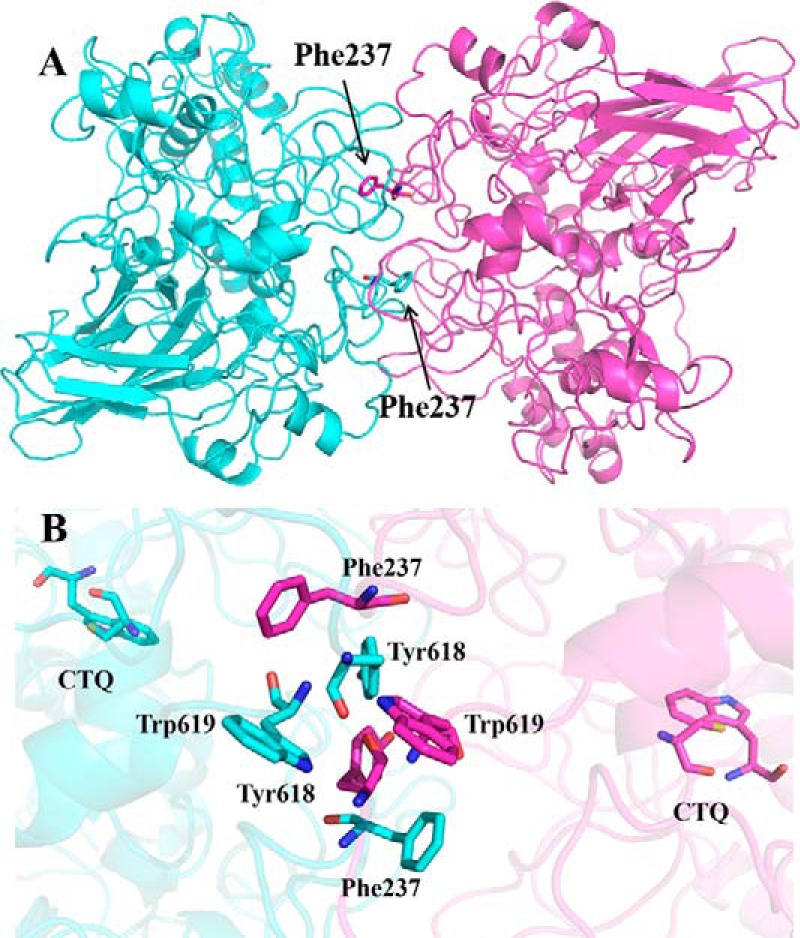 FIGURE 7.