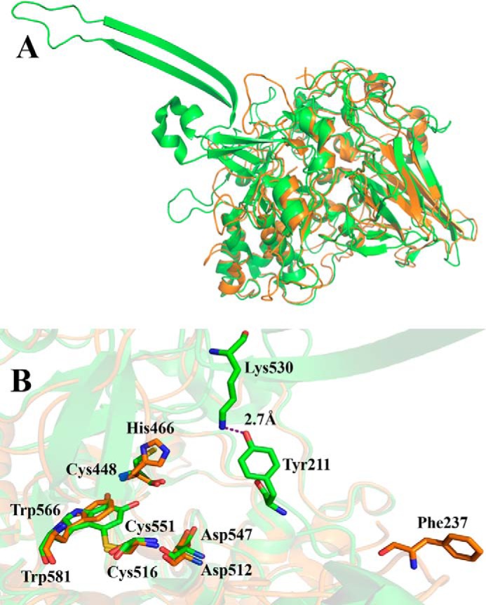 FIGURE 1.