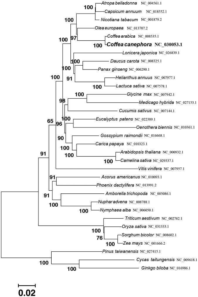 Figure 1.