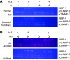 <b>FIG. 1.</b>