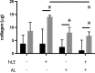 <b>FIG. 3.</b>