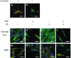 <b>FIG. 4.</b>