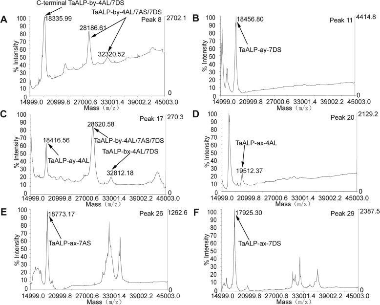 Fig. 6