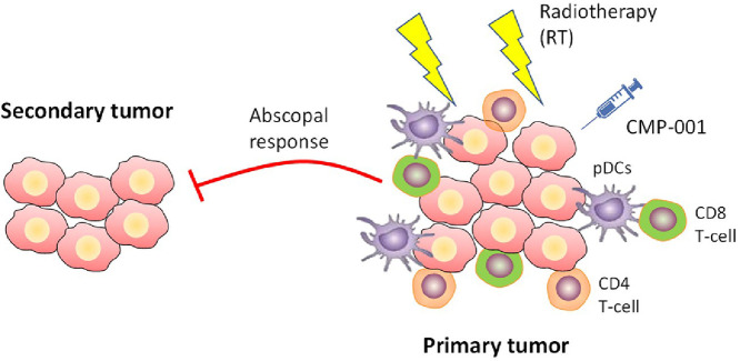 Image, graphical abstract