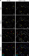 Figure 2—figure supplement 2.