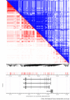 Figure 1—figure supplement 1.