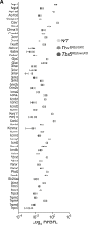 Figure 5—figure supplement 1.