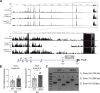 Figure 2—figure supplement 3.