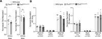 Figure 2—figure supplement 1.