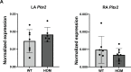 Figure 5—figure supplement 3.
