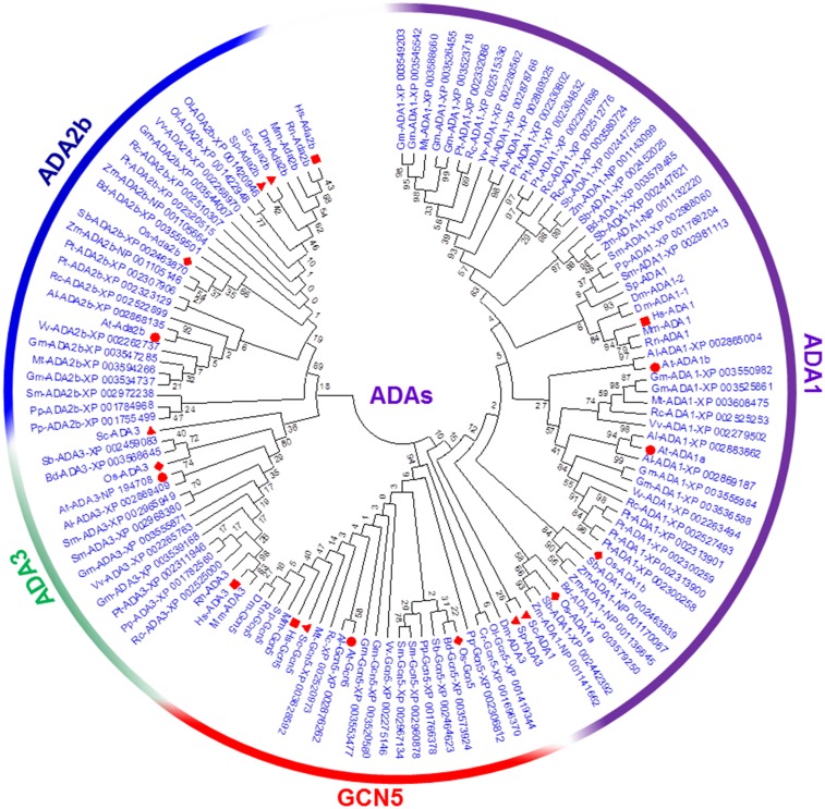 Fig 2