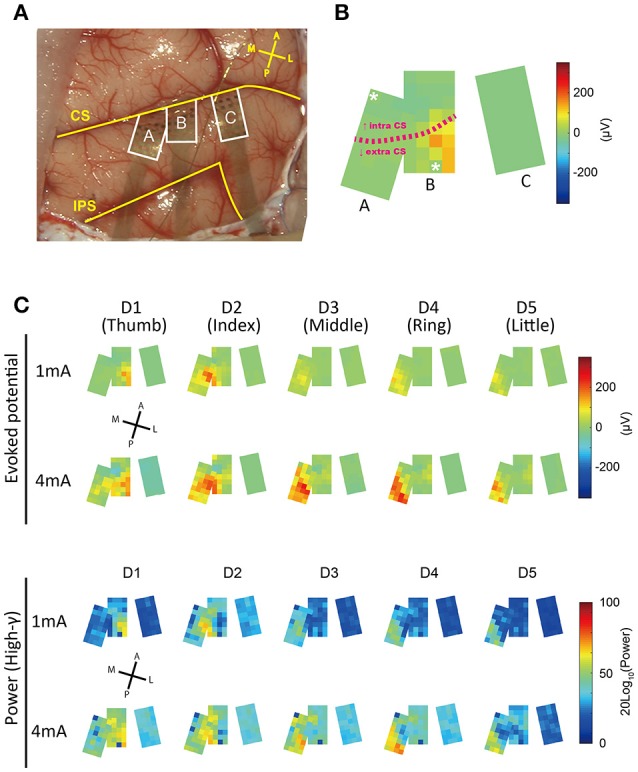 Figure 4