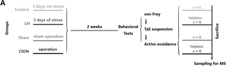 Fig. 1