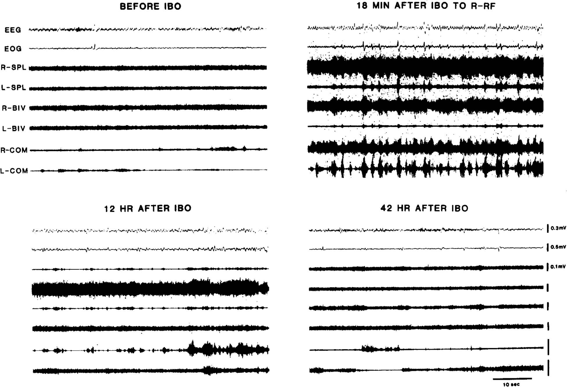 Fig. 4.