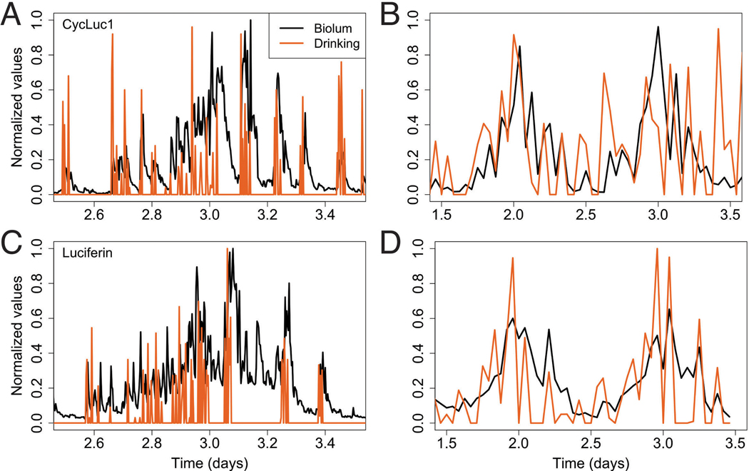 Figure 6.