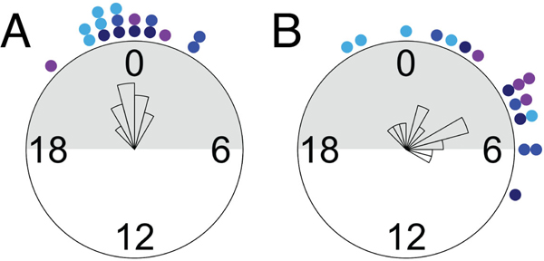 Figure 9.