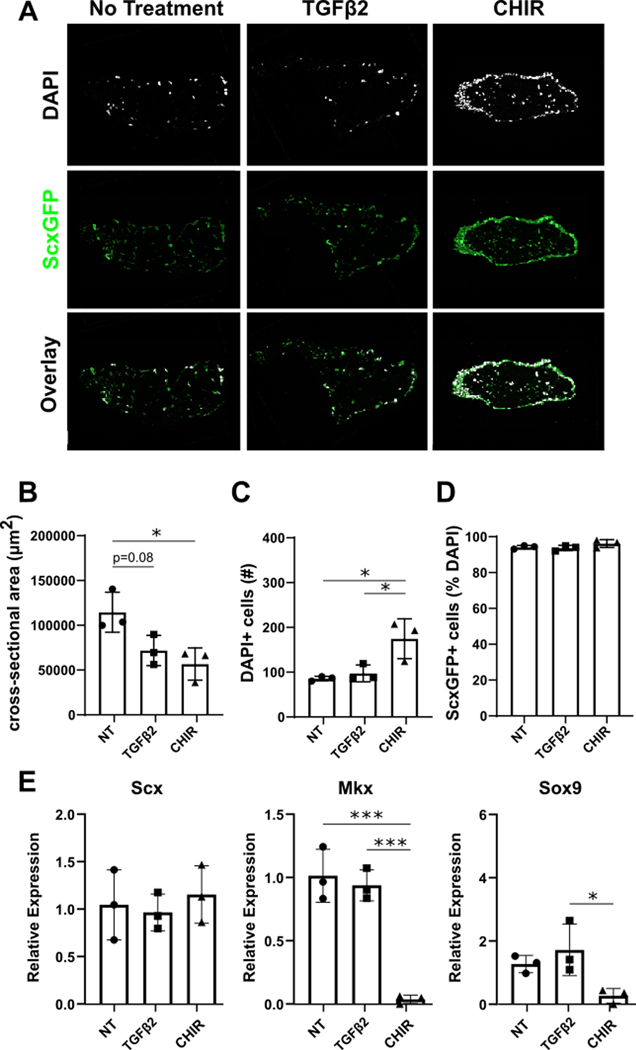 Figure 4: