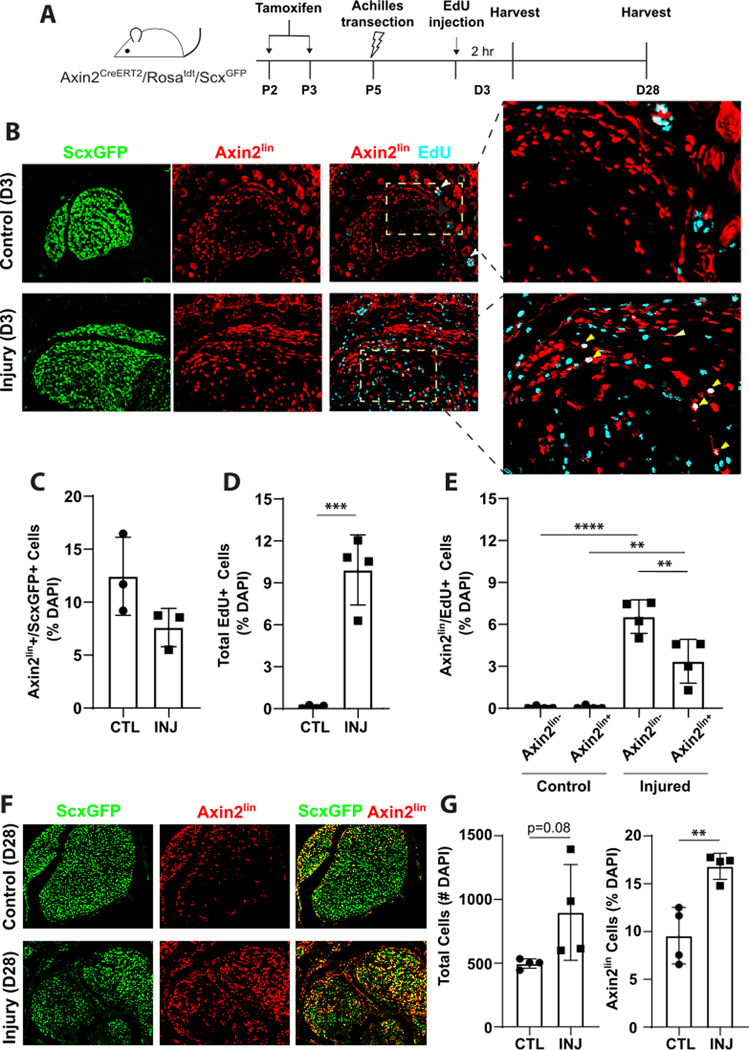 Figure 6: