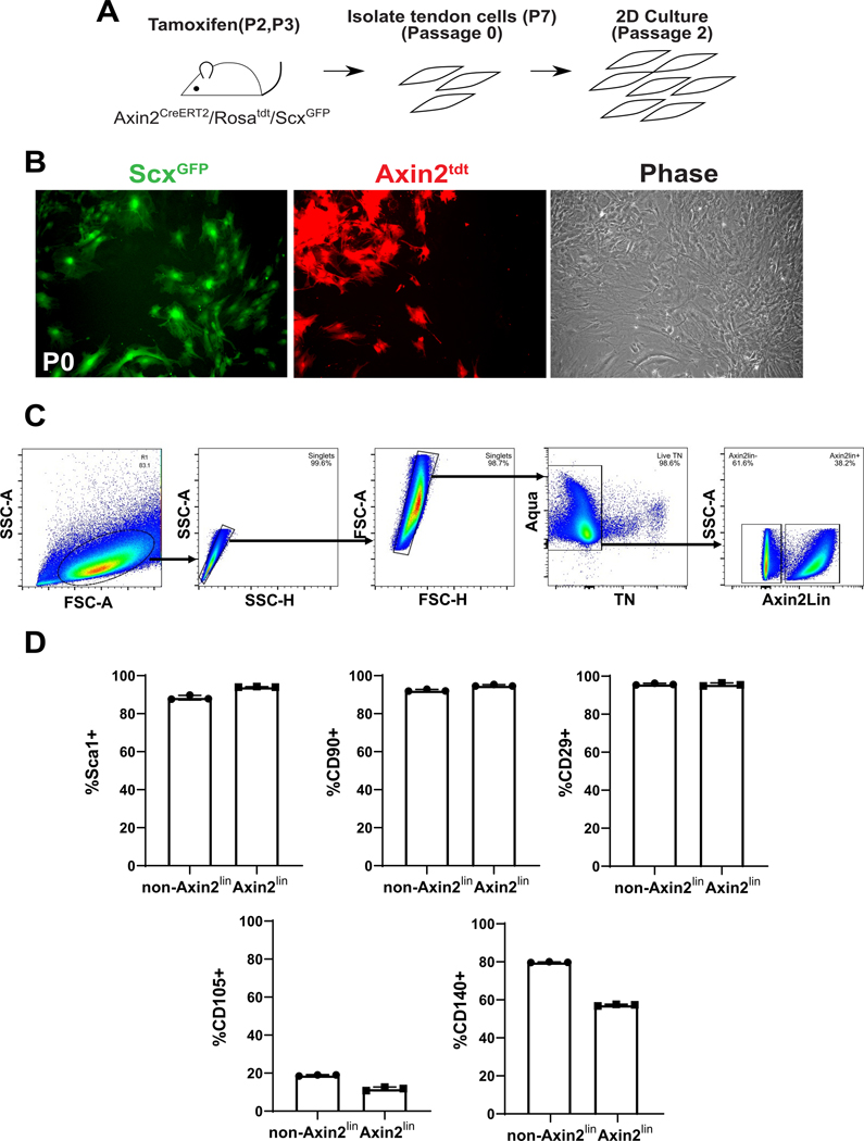 Figure 5: