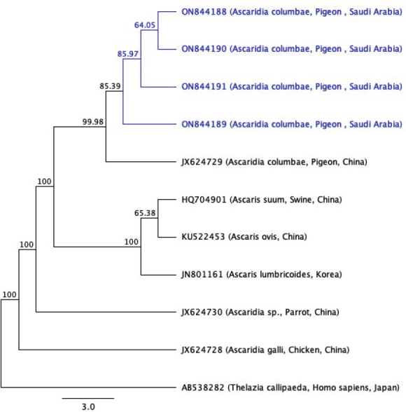 Fig. 6.