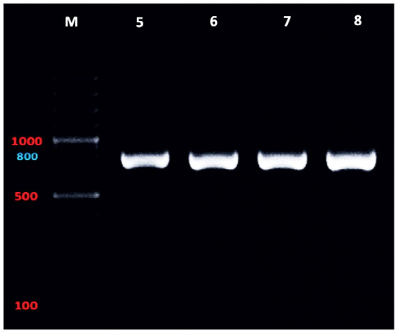 Fig. 4.