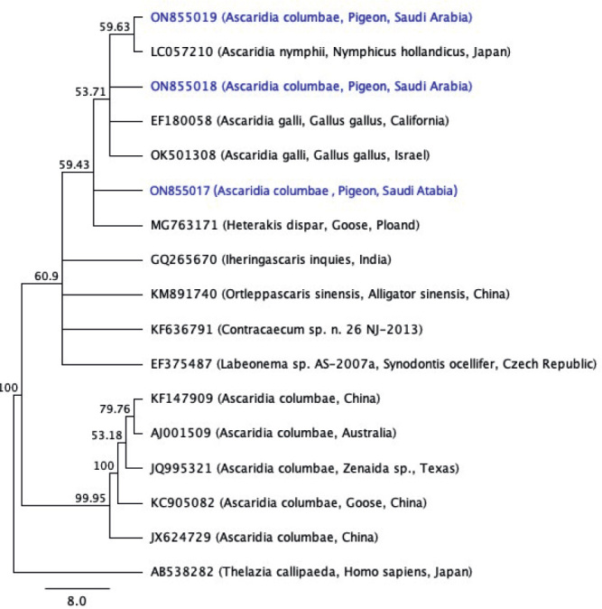 Fig. 9.