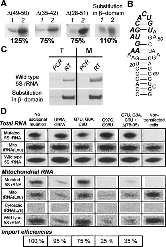 FIGURE 5.