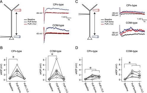 Figure 10.