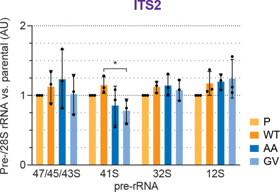 Figure 2—figure supplement 1.