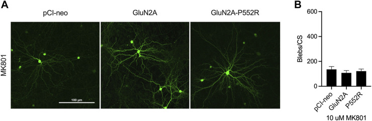 FIGURE 3