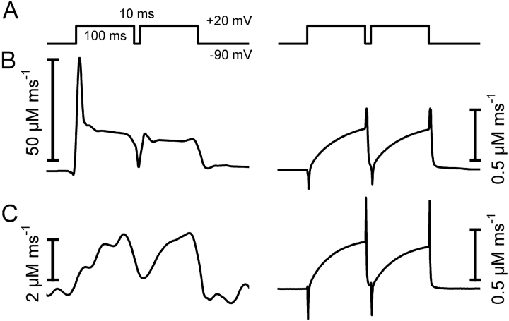 Figure 10. 