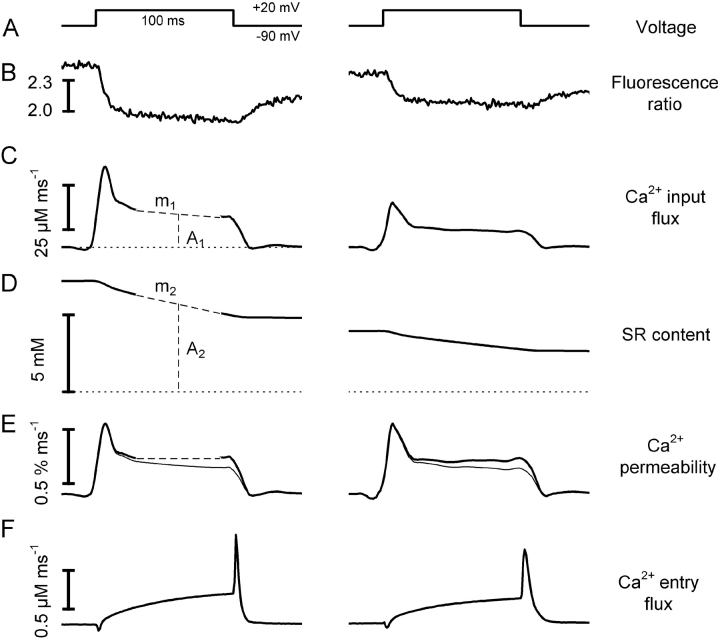 Figure 9. 