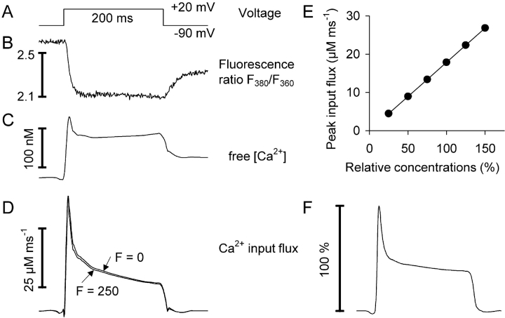 Figure 5. 