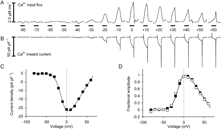 Figure 11. 