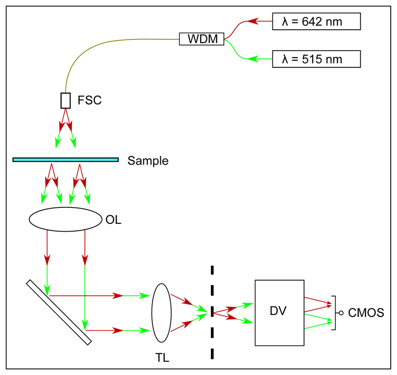 Fig. 1